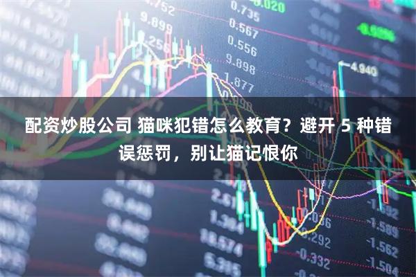 配资炒股公司 猫咪犯错怎么教育？避开 5 种错误惩罚，别让猫记恨你